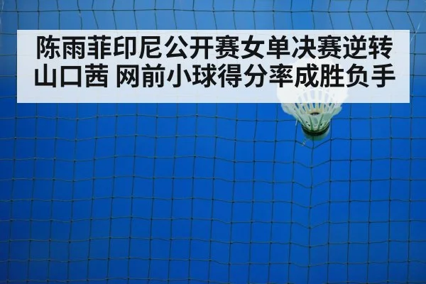 陈雨菲印尼公开赛女单决赛逆转山口茜 网前小球得分率成胜负手